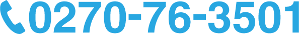 0270-76-3501